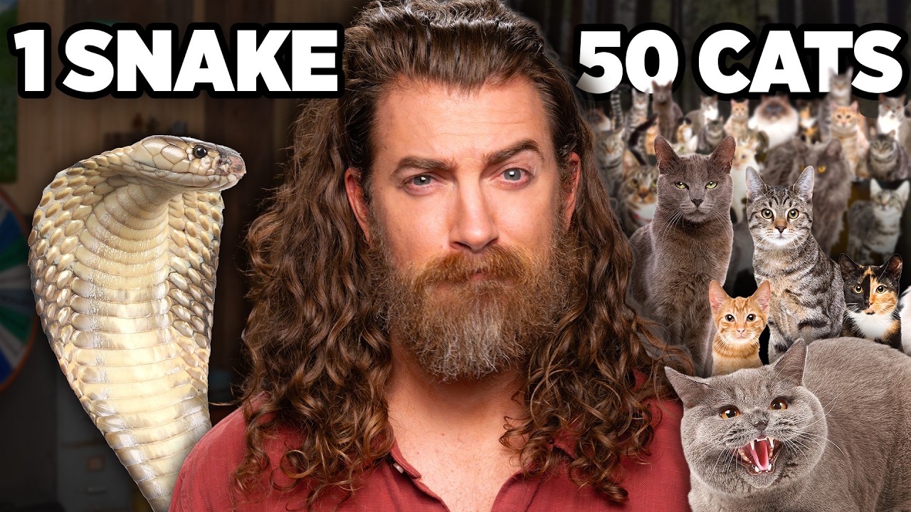 Would You Rather (Pet Edition)