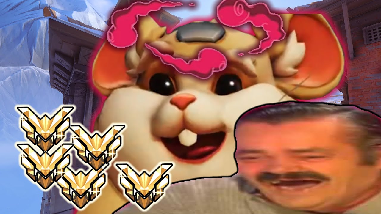 harbleu gets a MASTERS game - Overwatch
