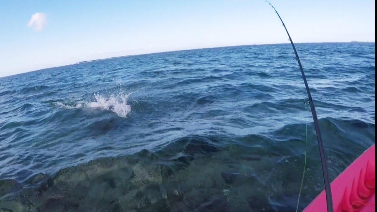 1er Poisson d'Avril, Kayak fishing Tahiti #Inshore #Lagoon #TahitiFrenchPolynesia