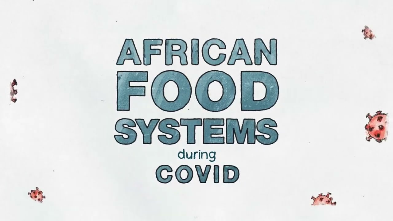 AFRICAN FOOD SYSTEM   FINAL V01
