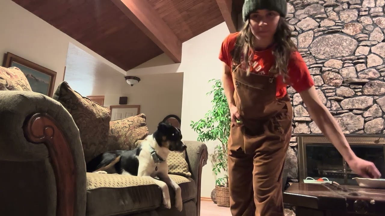 Shape head dip - Sarah and Champ 3.0