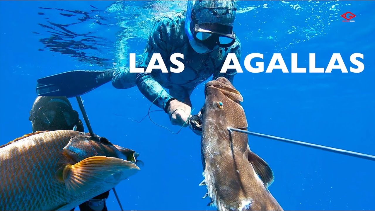 LAS AGALLAS.   4k HD. spear & dive valgoval movies
