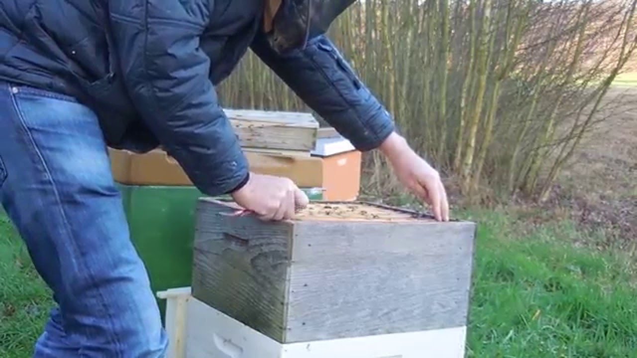 een bijenvolk bijvoeren in de winter of het prille voorjaar