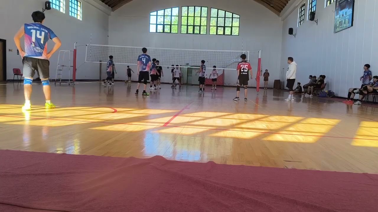 Wolves vs Volco 7/02/26