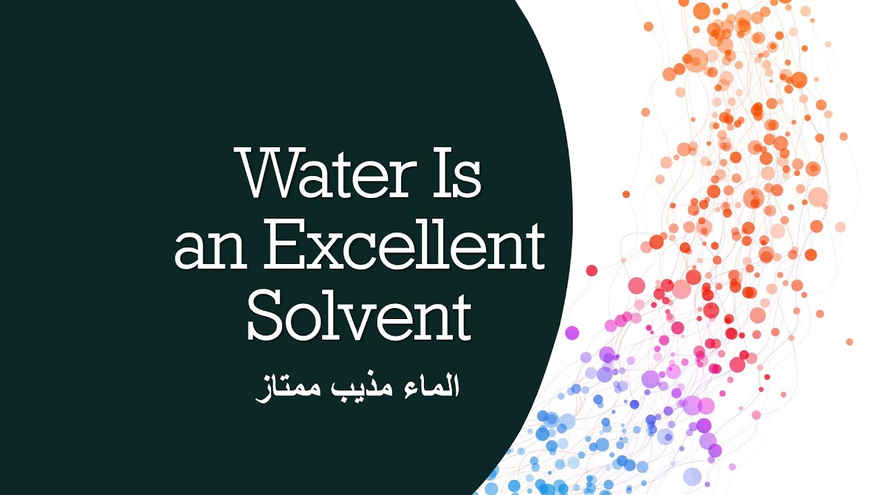 Video 7: Water Is an Excellent Solvent الماء مذيب ممتاز