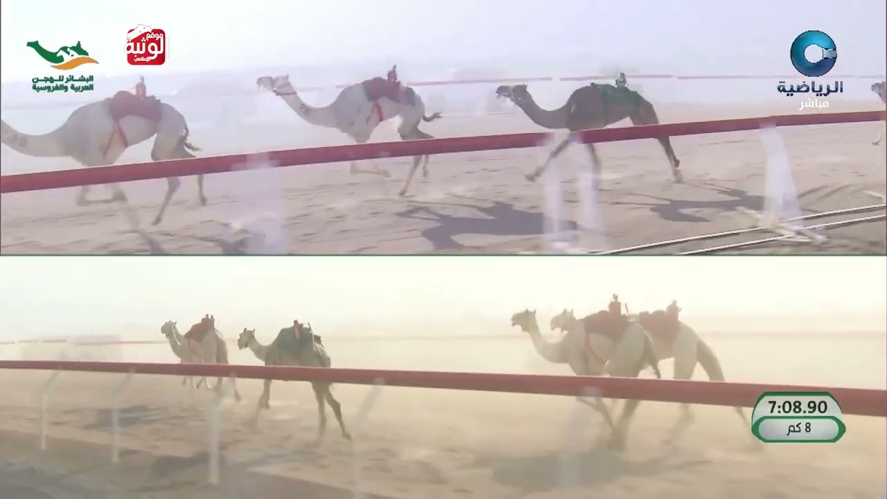 ش 4 سيف الحول (زاهيه) لـ هجن الرئاسة 12:22:54 , مهرجان البشائر السنوي 2026/2/7