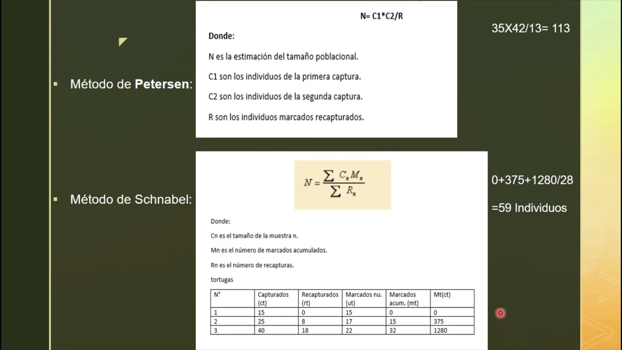 Métodos de captura recaptura para estimar el tamaño de las poblaciones animales