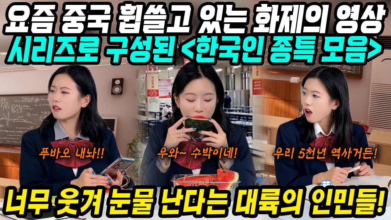 중국반응│최근 중국을 휩쓸고 있는 화제의 영상 한국인 종특 모음 시리즈│한국인의 특징 영상보고 신난 중국 인민들│중국인들이 보는 한국인의 이미지│중국어로[路]