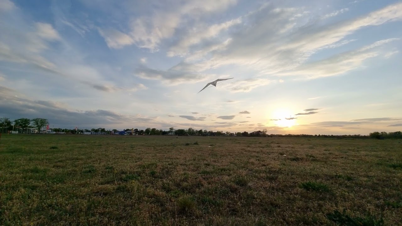 Xander - Alphakites X Zero