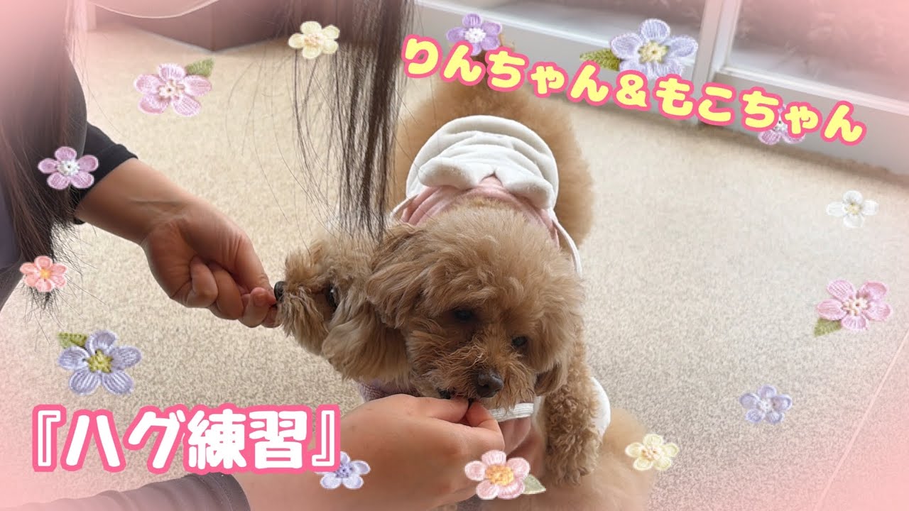【幼稚園】🍊りんちゃんもこちゃん　ハグの練習🍊