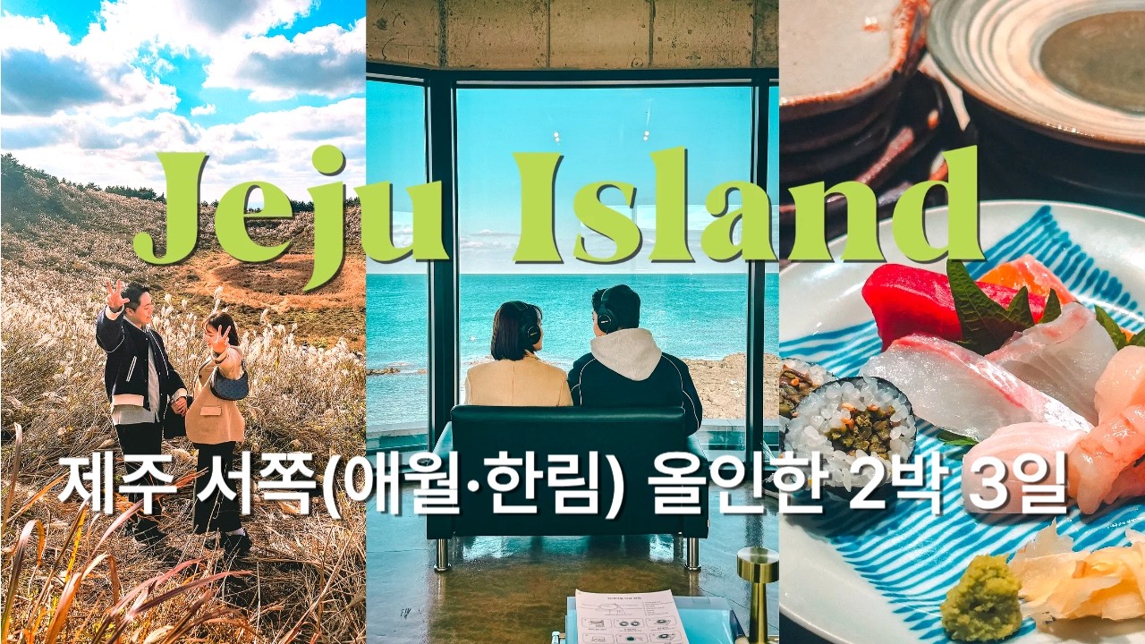 애월·한림에 일정 올인🍊｜제주 북서쪽 2박 3일 맛탐방 브이로그 (결혼기념일)