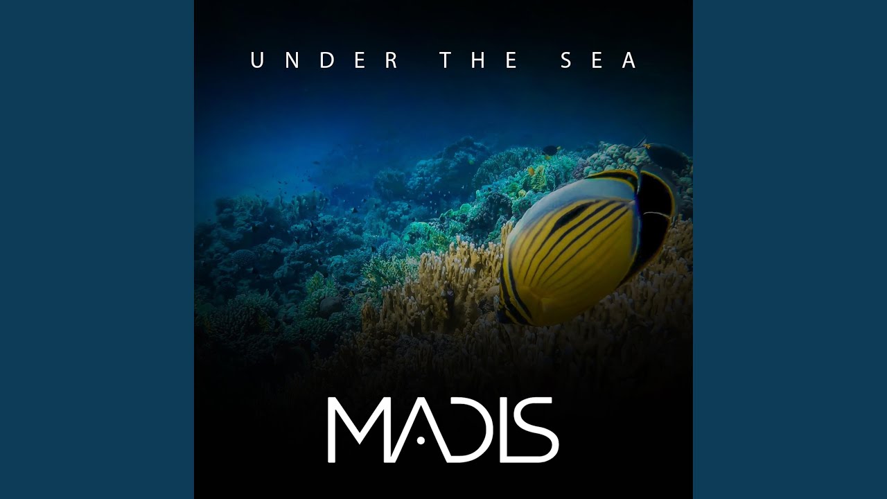 Under the Sea