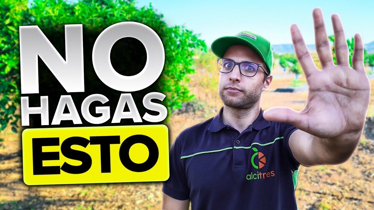 Antes de PLANTAR tu finca, evita estos 10 FALLOS (+1 BONUS)