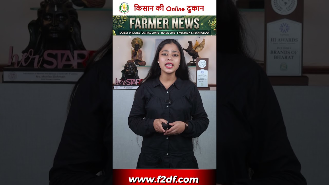 20 जुलाई मौसम अपडेट: कई राज्यों में भारी बारिश का अलर्ट, किसानों को सतर्क रहने की सलाह