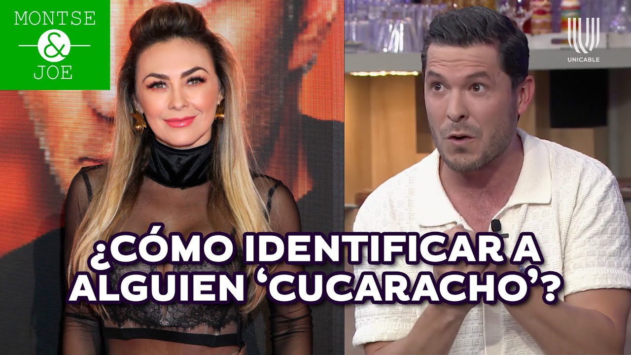 Jorge Lozano recordó cuando Aracely Arámbula llamó cucaracho a Luis Miguel en su show | Montse y Joe
