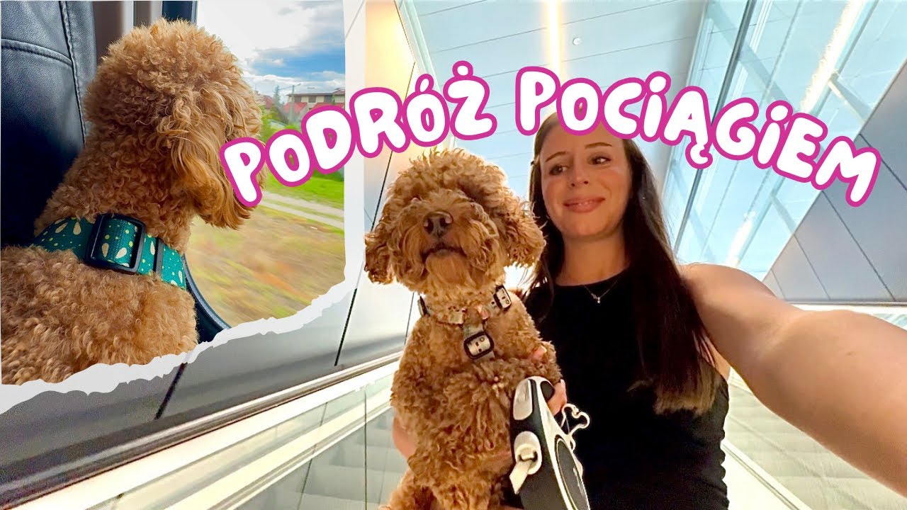 PODRÓŻ POCIĄGIEM Z PSEM