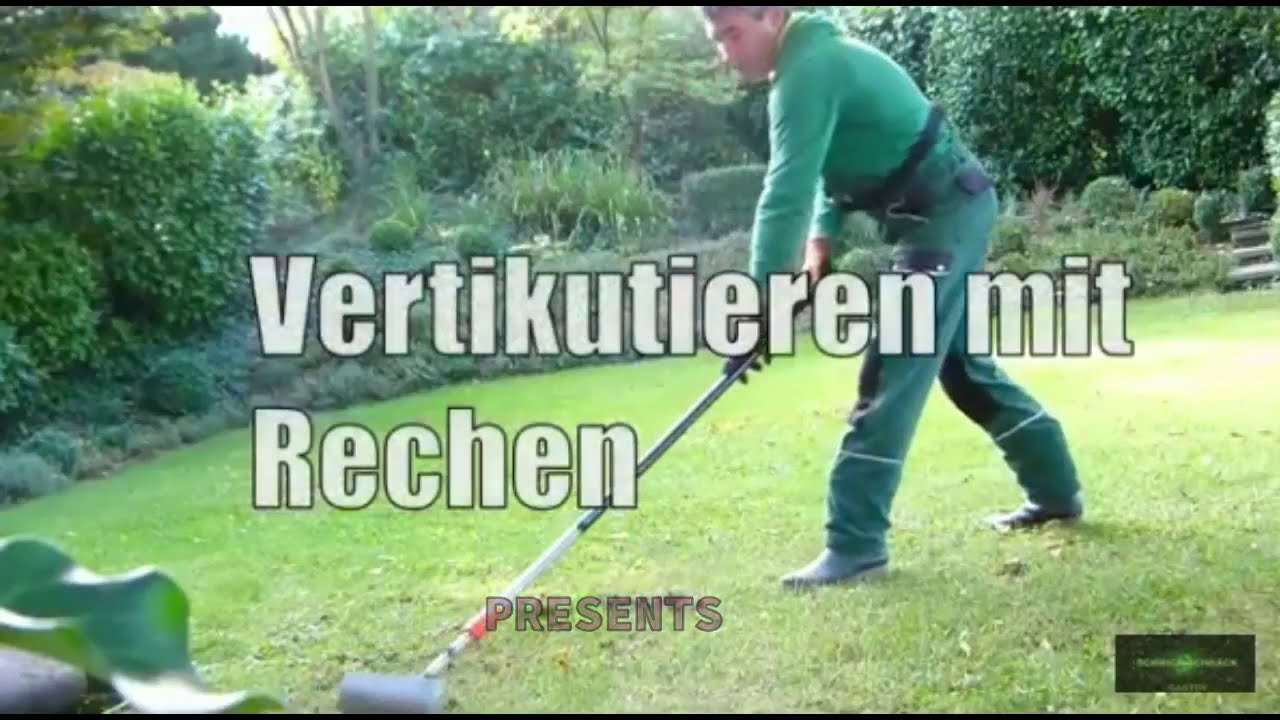 🌳🌺🏜RASEN VERTIKUTIEREN MIT RECHEN🦋🌳