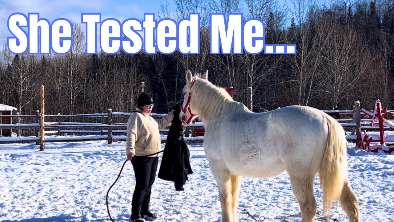 I Made a Mistake… and My Mare Let Me Know 😳
