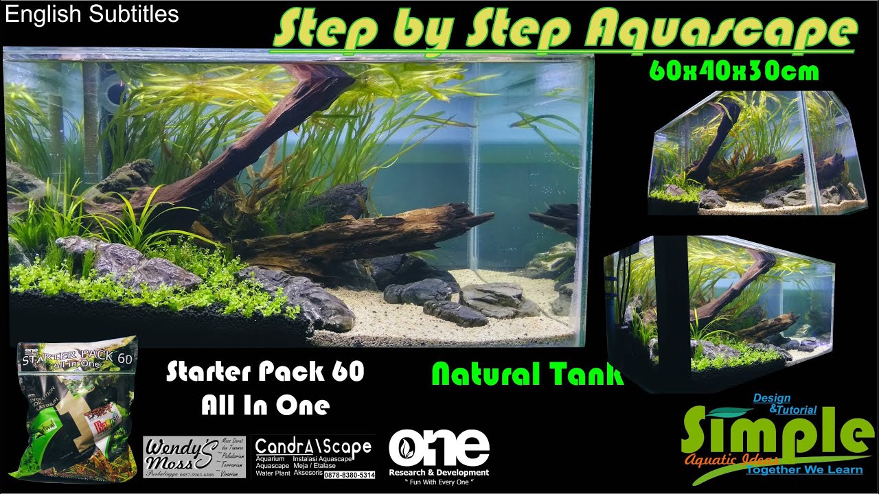 Step by Step Simple Nature Aquascape 60 cm Dengan Starter Pack 60 All In One #74