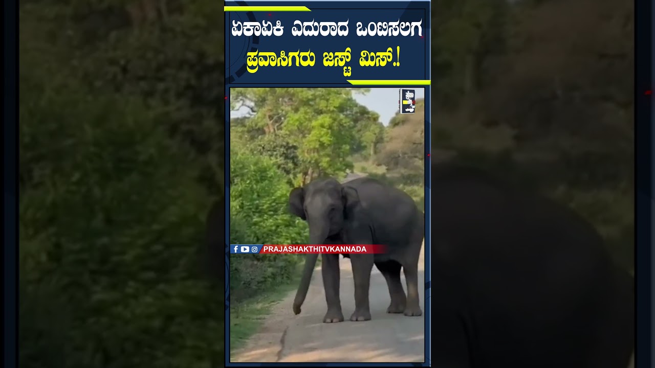 ಏಕಾಏಕಿ ಎದುರಾದ ಒಂಟಿಸಲಗ ಪ್ರವಾಸಿಗರು ಜಸ್ಟ್&zwnj; ಮಿಸ್ !