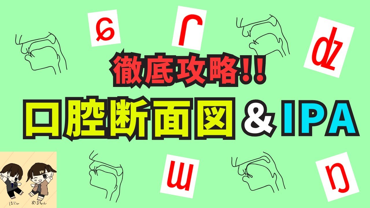 【再アップ＆修正版】徹底攻略！！　口腔断面図＆IPA（国際音声記号）
