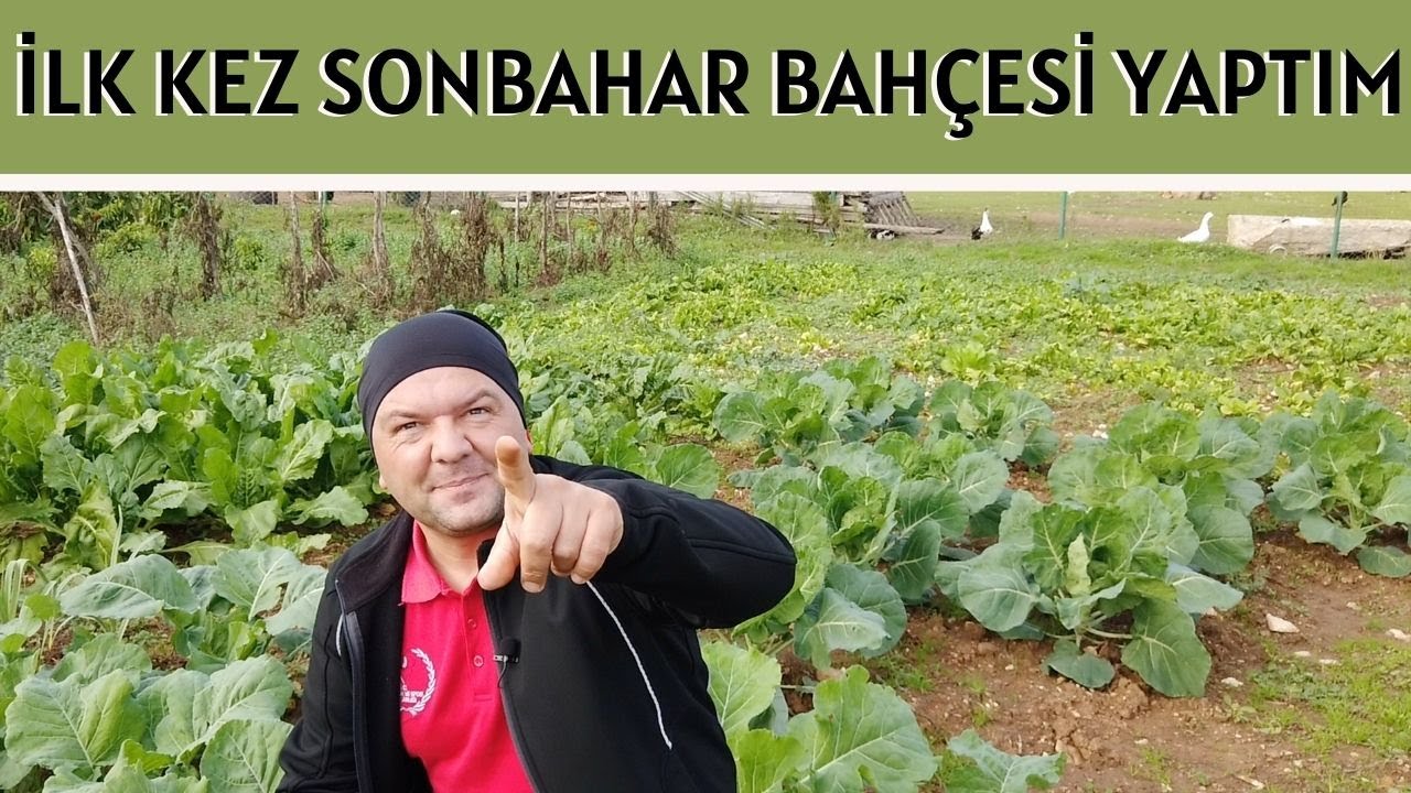 İLK KEZ SONBAHAR BAHÇESİ YAPTIK