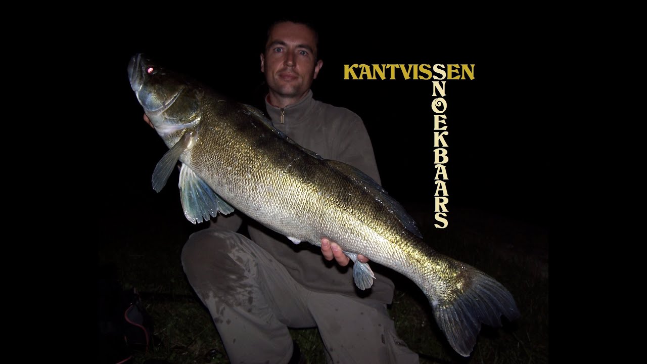 Grote snoekbaars #17  - snoekbaarsvissen met kunstaas vanaf de kant