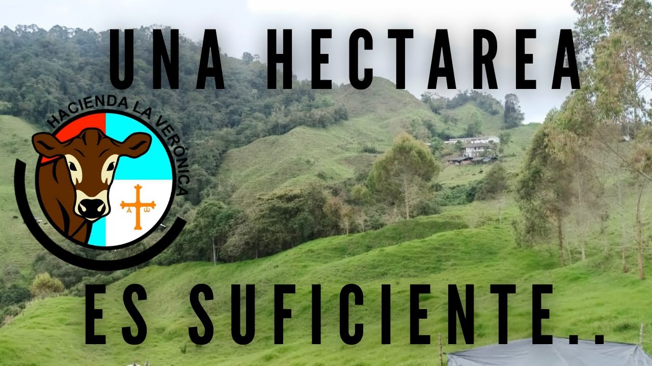 UNA HECTAREA ES SUFICIENTE