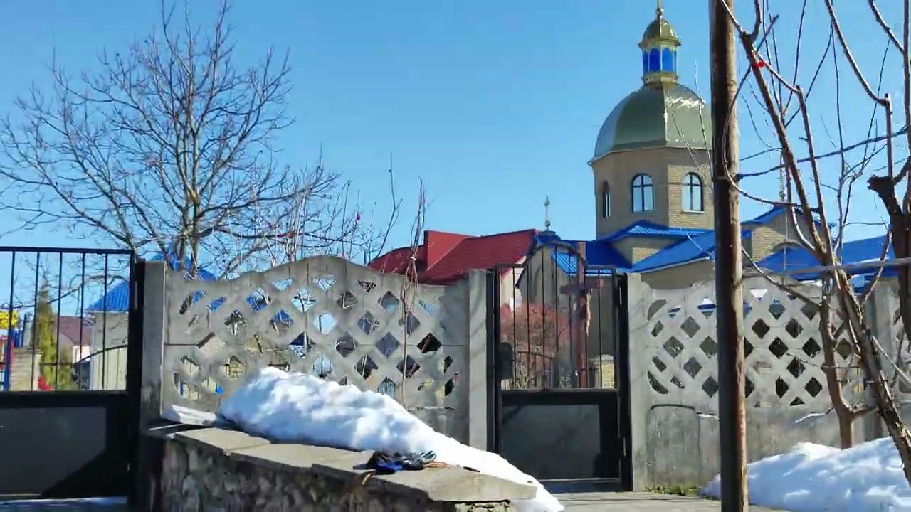 Фінальна обрізка актинідії - завершуємо формування куща правильно