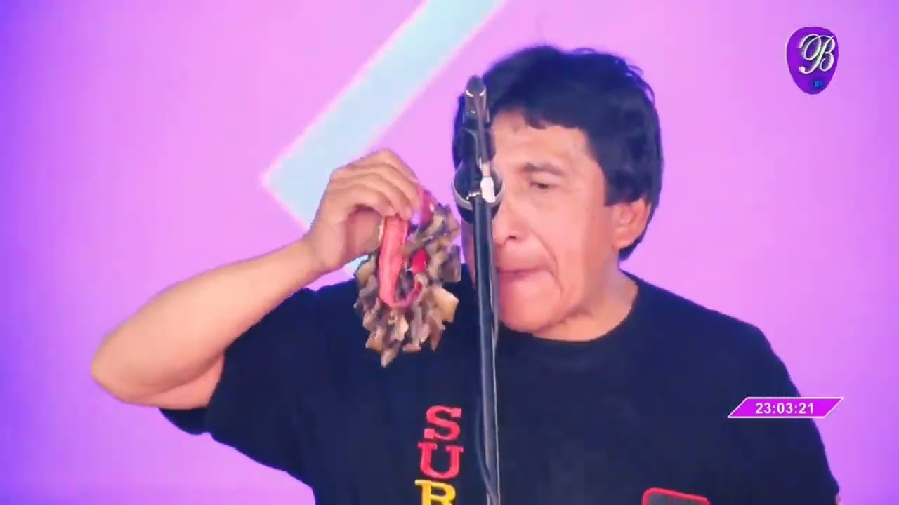 SELECCION DE CUECAS Y BAILECITOS-SURCOS DDRR