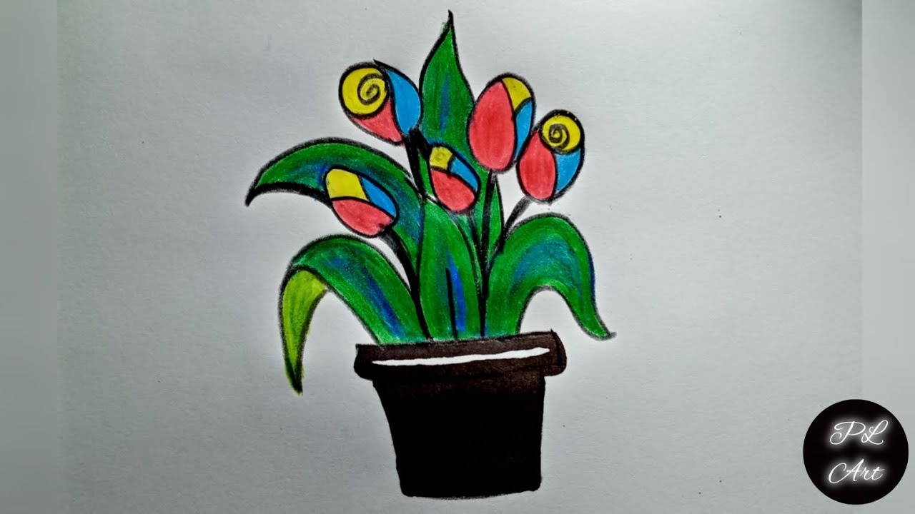 Draw and Color a Flower Pot