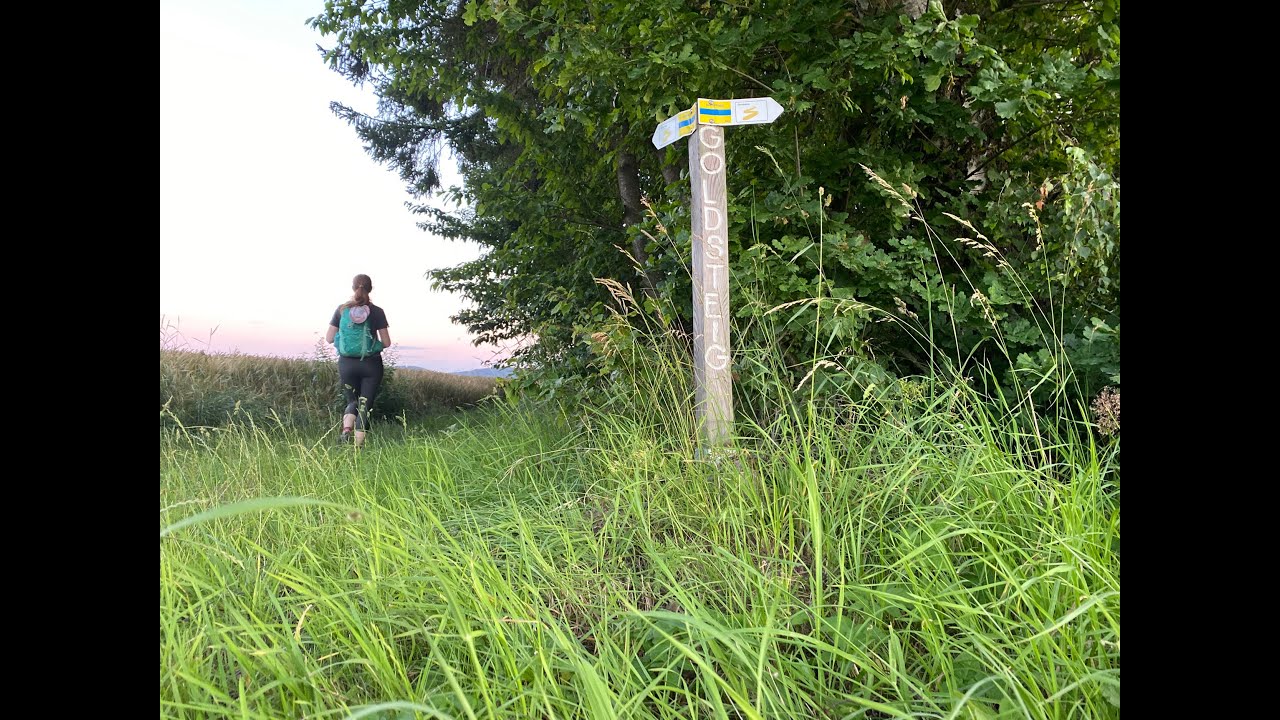 Goldsteig Trail | Oberviechtach - Furth Im Wald