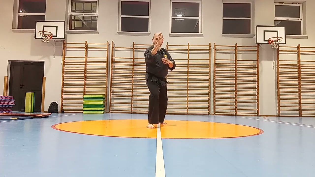 #wado #selfdefence 1 renraku waza / 3 kyu