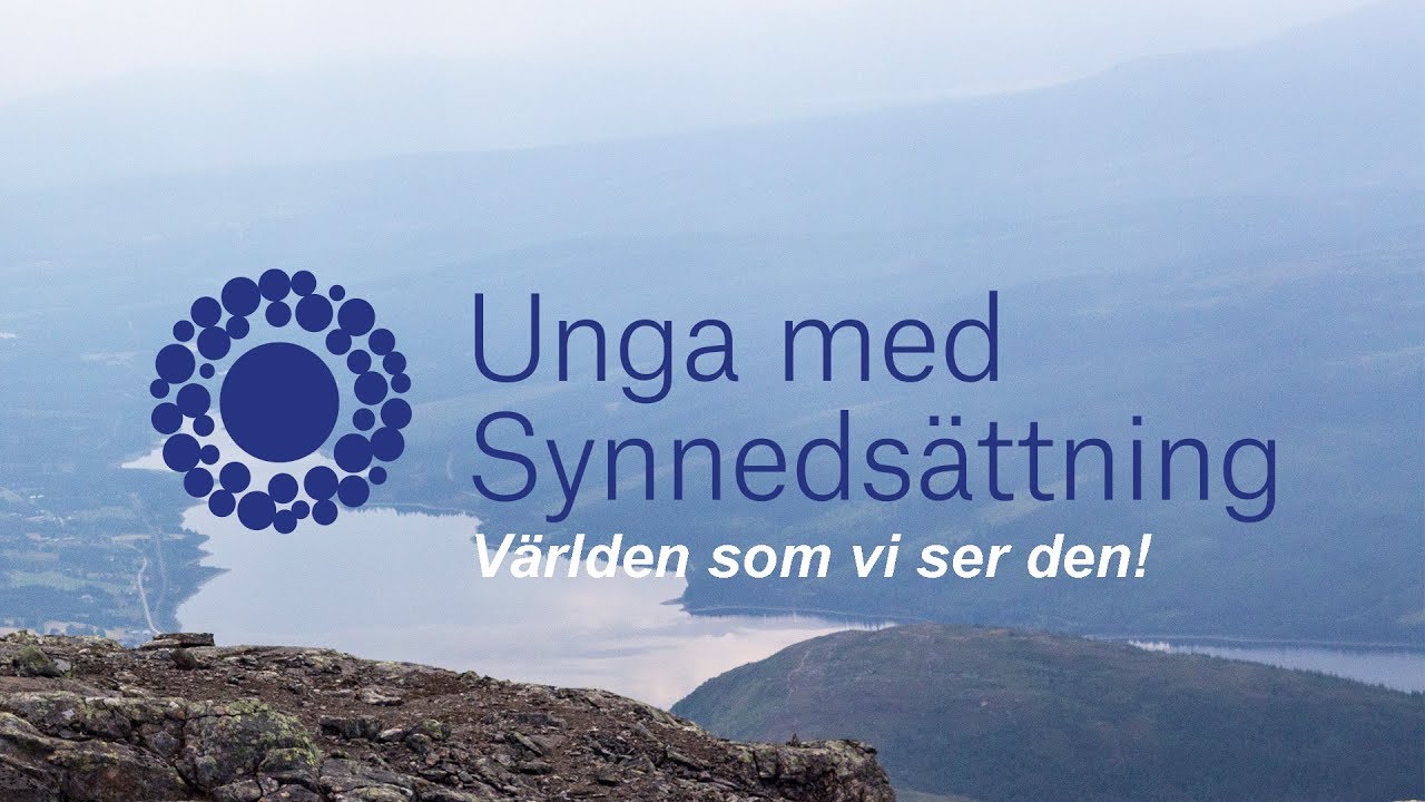 Vilka vi är - Riksorganisationen Unga med Synnedsättning