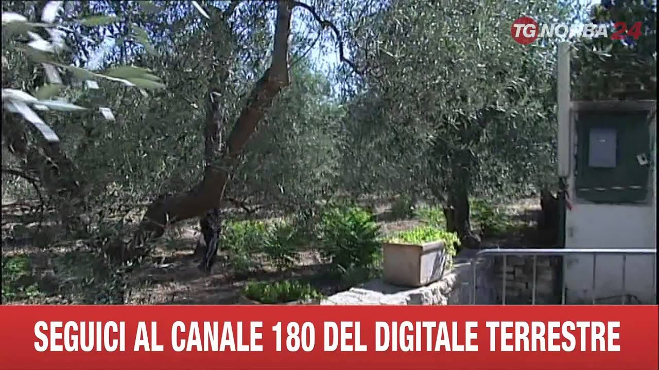 BARI SVILUPPI INCHIESTA ESPLOSIONE DITTA BRUSCELLA