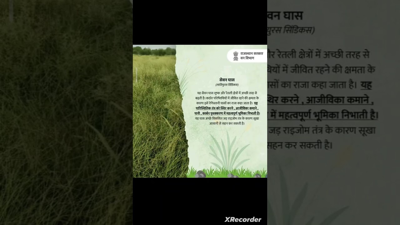 सेवन घास #motivation #ldc #computer #exam #highcourt #motivational #rajsthan #rajgeography