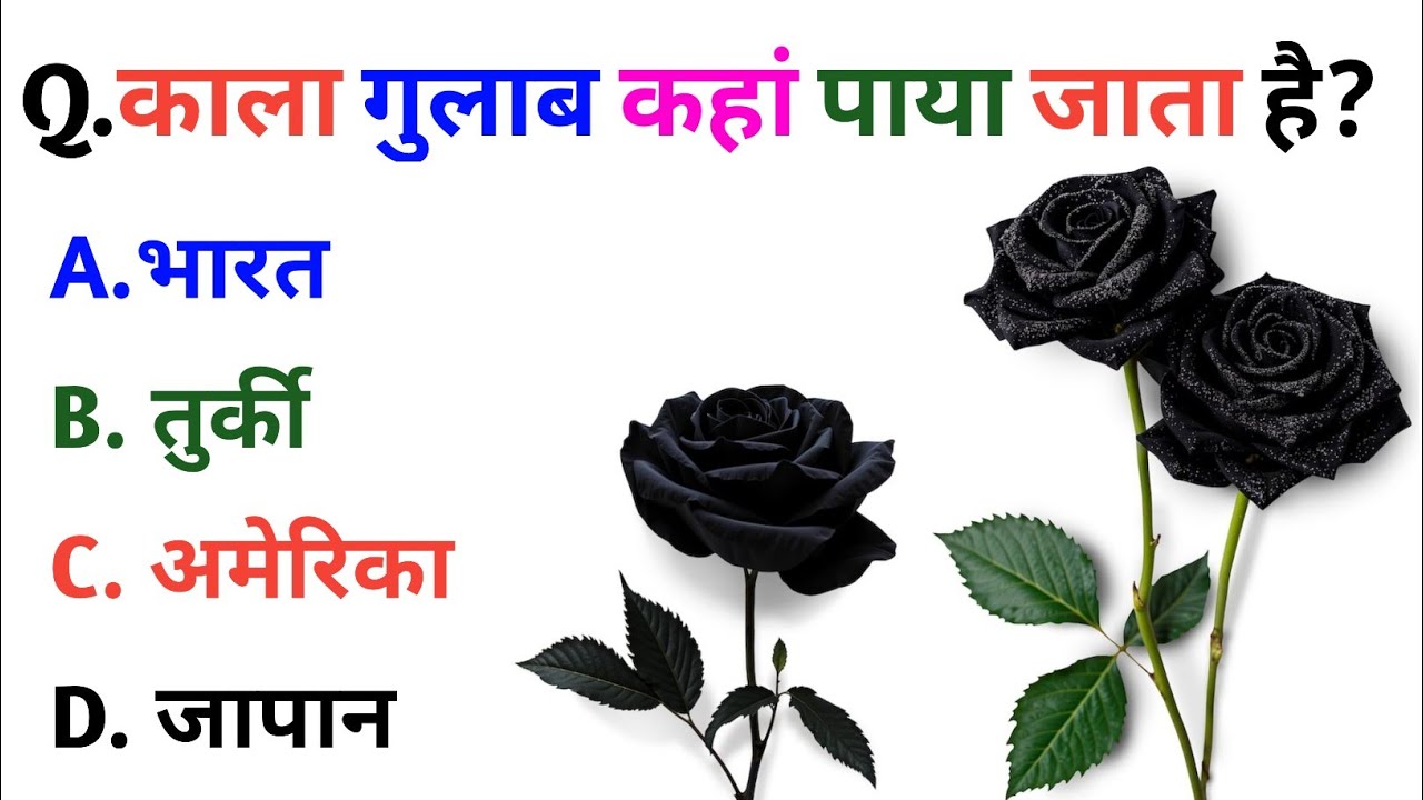 GK Question || GK In Hindi || GK Question And Answers || GK Quiz || Santosh Kumar GK A2Z ||