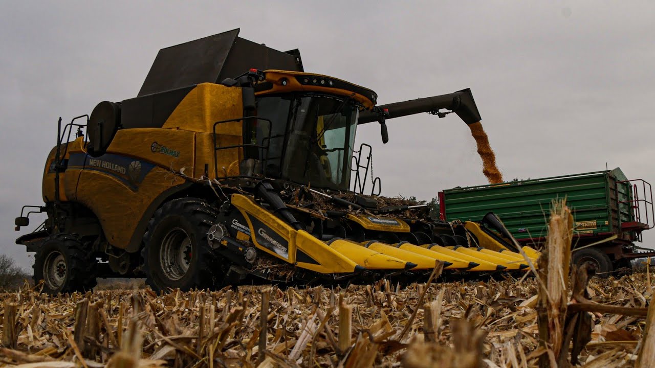 Oporowa Kukurydza 2022 z UR Mirex! New Holland CX 8.90 2X Massey Ferguson & 4X Metaltech db 12.