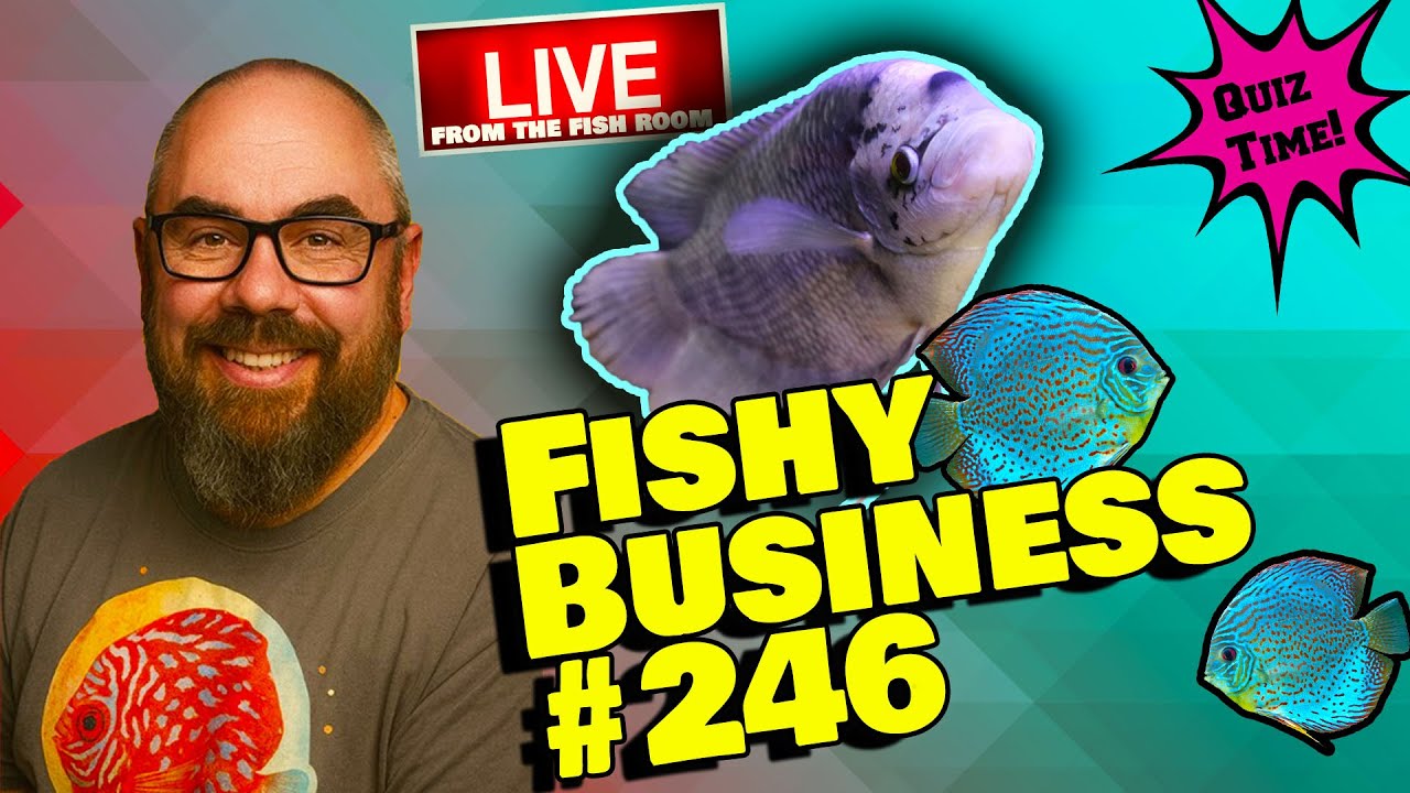Friday Night Live! -  Fishy Business 
