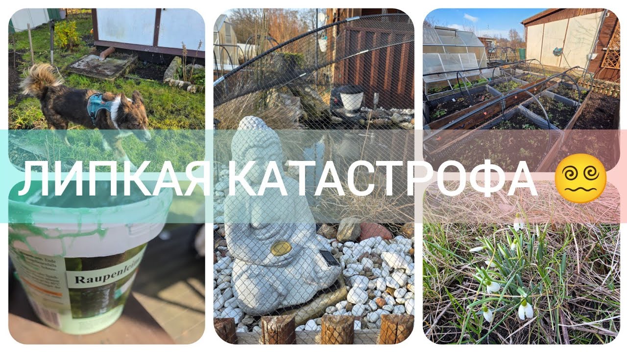 ПОЕХАЛИ НА ДАЧУ… И УТОНУЛИ В “ЛИЗУНЕ” 😅 | ПРУД + ГАЗОН