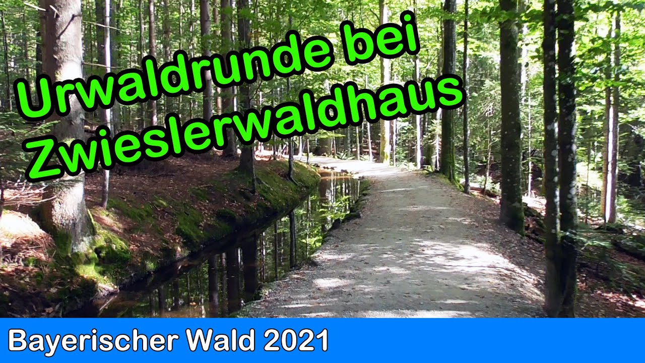 Bayerischer Wald - Urwald-Runde bei Zwieslerwaldhaus