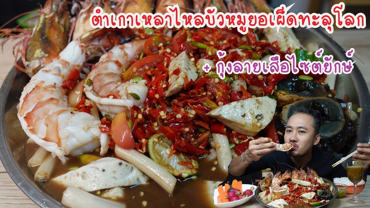 ตำเกาเหลาไหลบัวหมูยอ+กุ้งลายเสือยักษ์ พริกเต็มถาด เผ็ดทะลุโลก l กินกับกี้