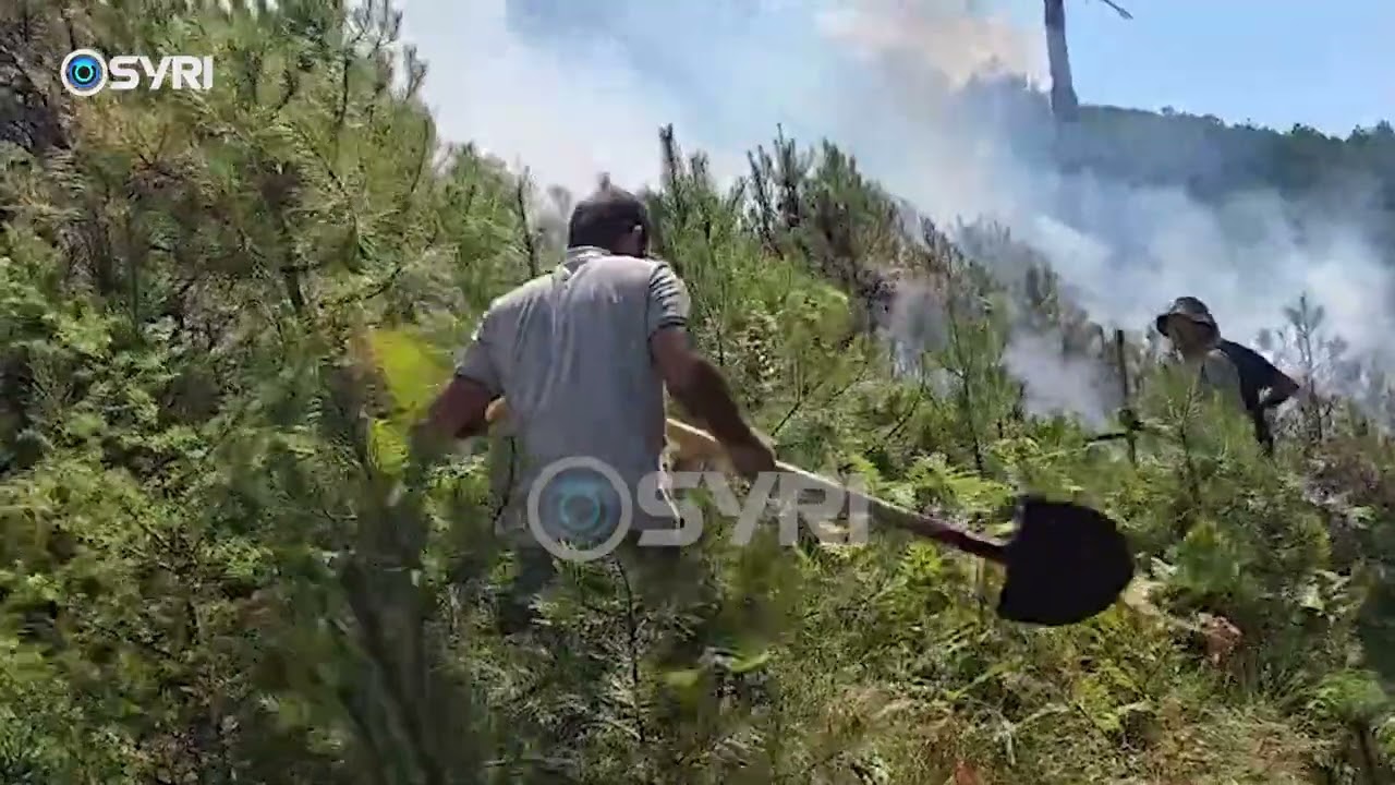 Zjarret vijojnë në Gramsh/ Drejtori i Zonave të Mbrojtura: Po punojmë me kazma e lopata