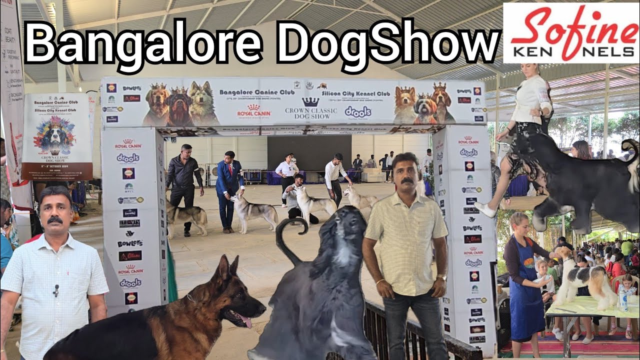 Bangalore Canine club 57"&58"             silicon City kennel club 129"&130" championship Dog show