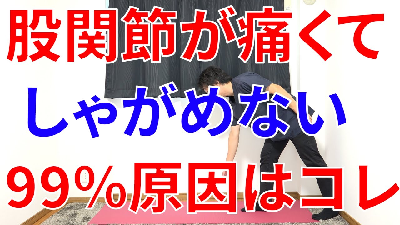 股関節が痛くてしゃがめなくてもコレやるだけでしゃがめる様になるたった1つの事と対処法!