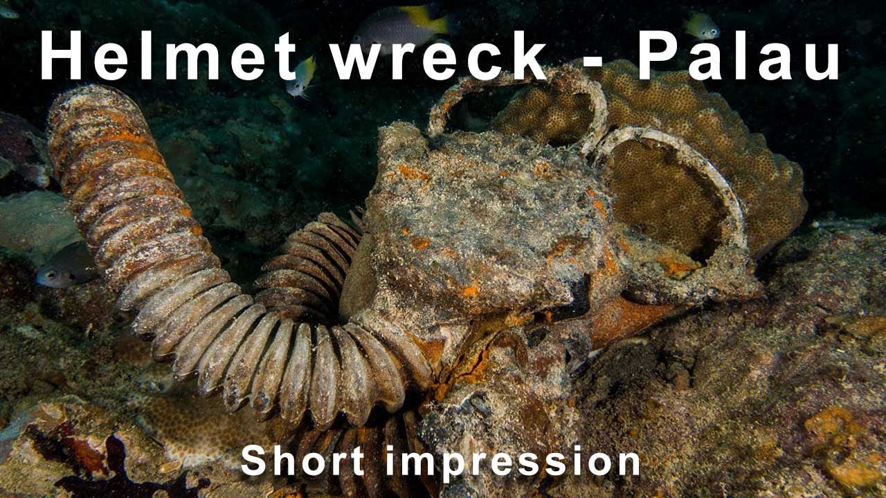 Diving the Helmet wreck - Palau Micronesia