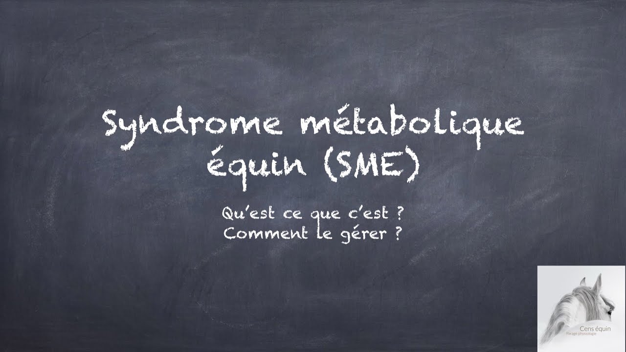 Le SME c’est quoi ?