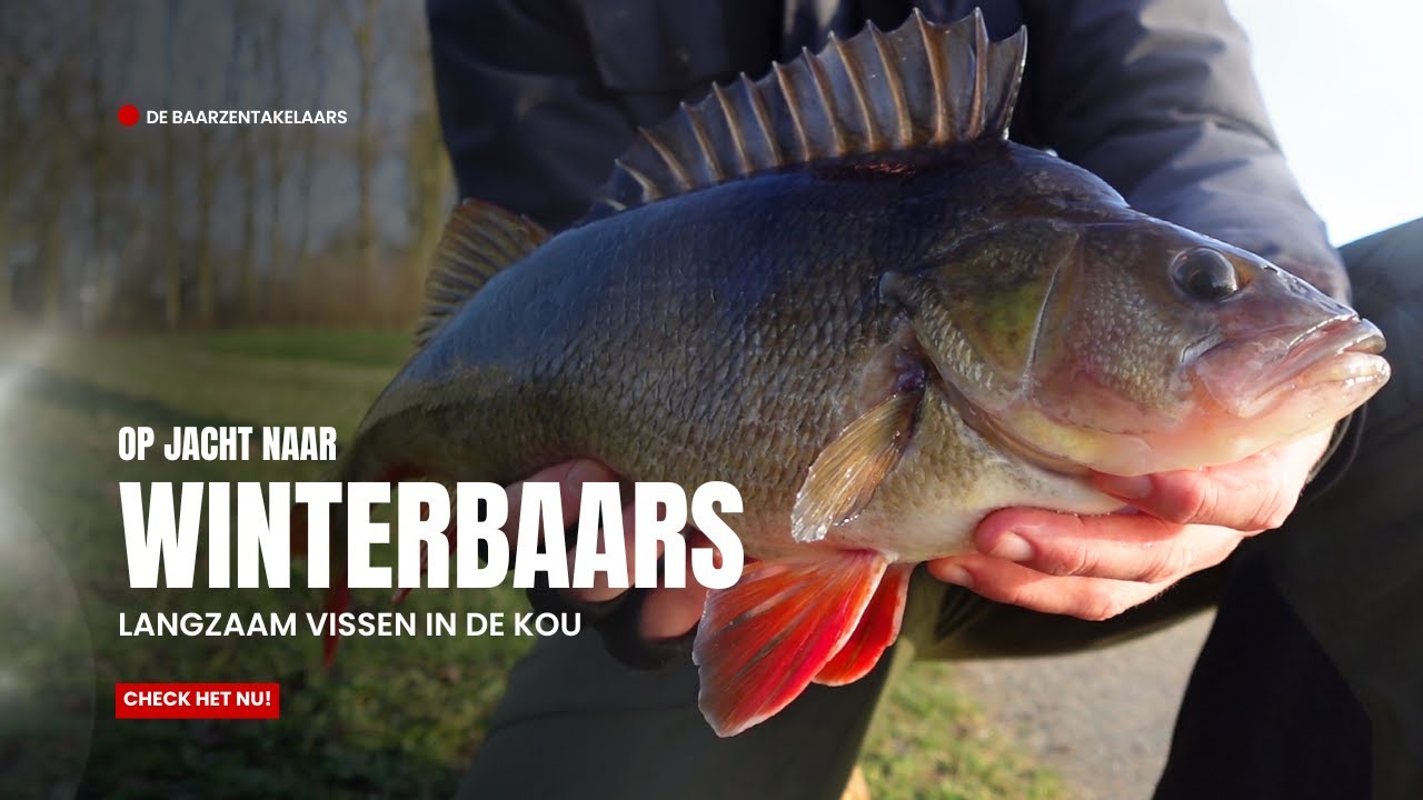 OP JACHT NAAR WINTER BAARS!