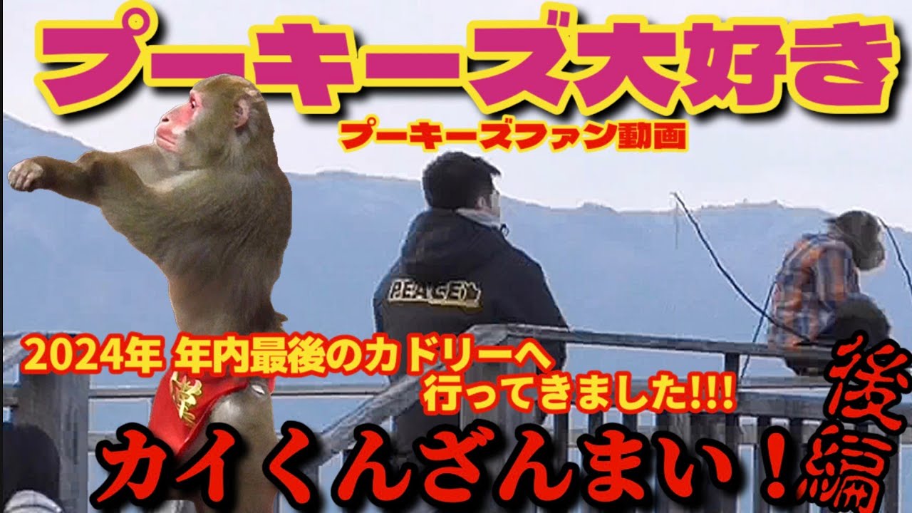 【カイくんざんまい】年内最後のカドリーへ行ってきました!!!【プーキーズ】