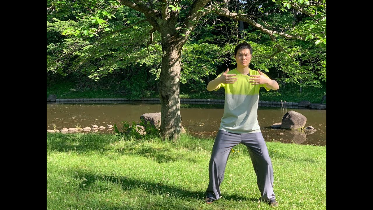 陳式太極拳基本功 Chenshi taijiquan jibengong | 太極修練TaijiShuren